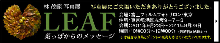 �� �Δ͎ʐ^�W�uLEAF �`�t���ς���̃��b�Z�[�W�`�v